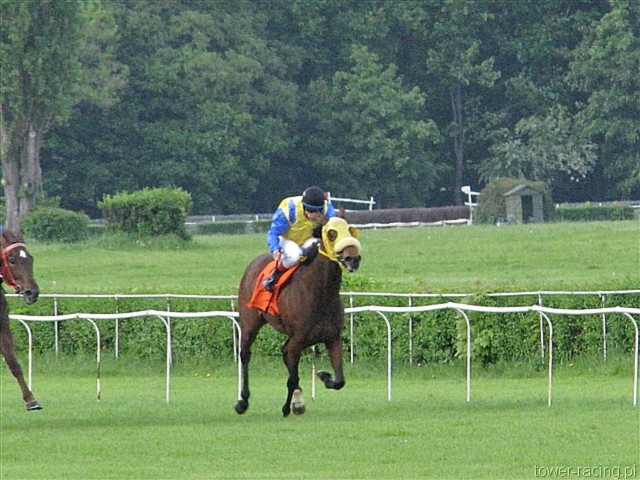 image_101.jpg