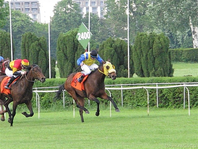 image_102.jpg
