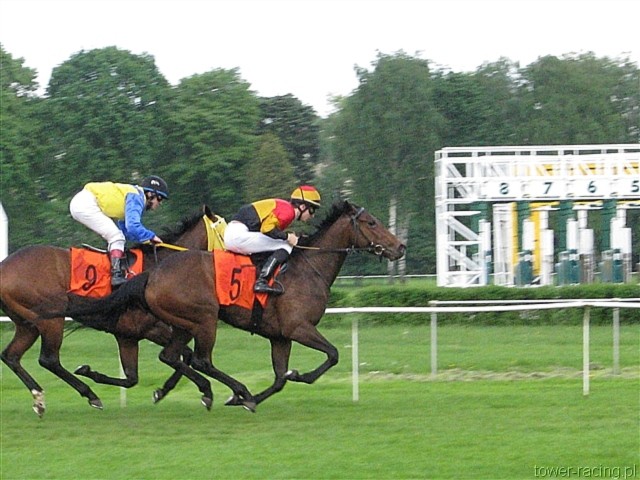 image_104.jpg