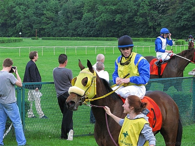image_106.jpg