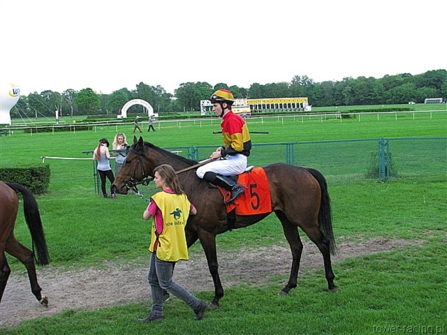 image_115.jpg