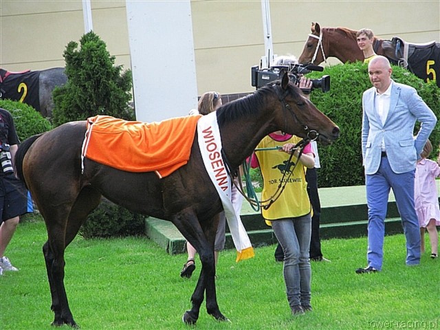 image_118.jpg