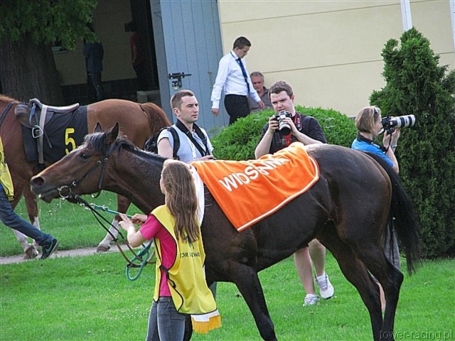 image_119.jpg