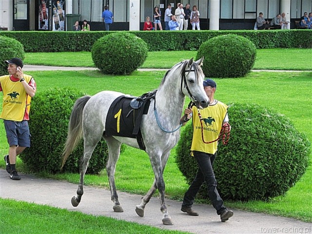 image_120.jpg