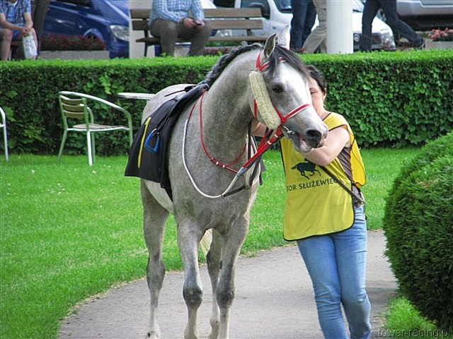 image_124.jpg