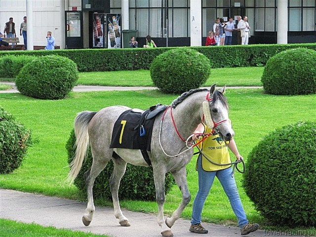 image_125.jpg