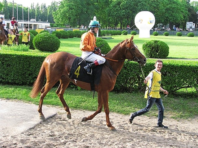 image_140.jpg