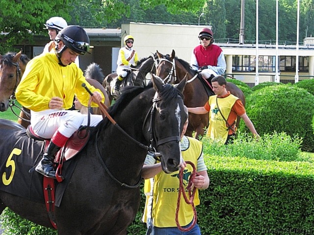 image_141.jpg