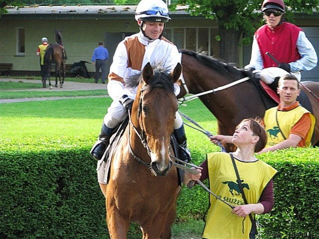 image_142.jpg