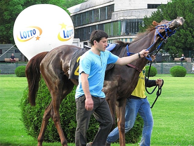 image_144.jpg