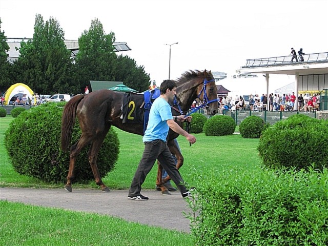 image_145.jpg