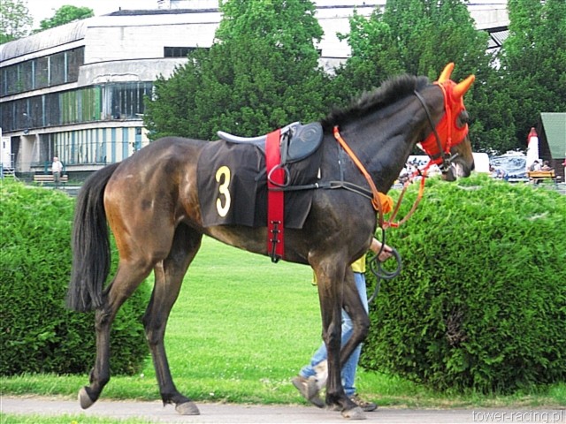image_146.jpg