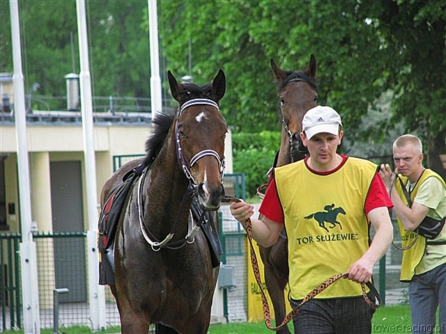 image_147.jpg