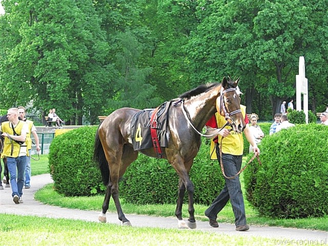 image_148.jpg