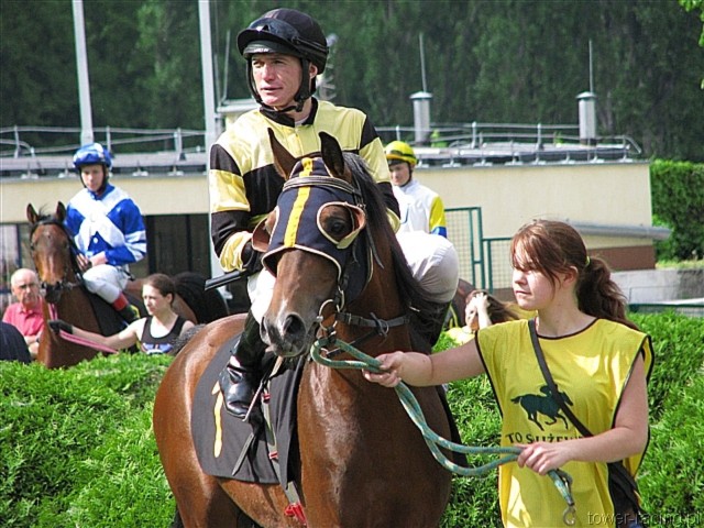 image_15.jpg