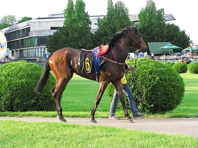 image_152.jpg