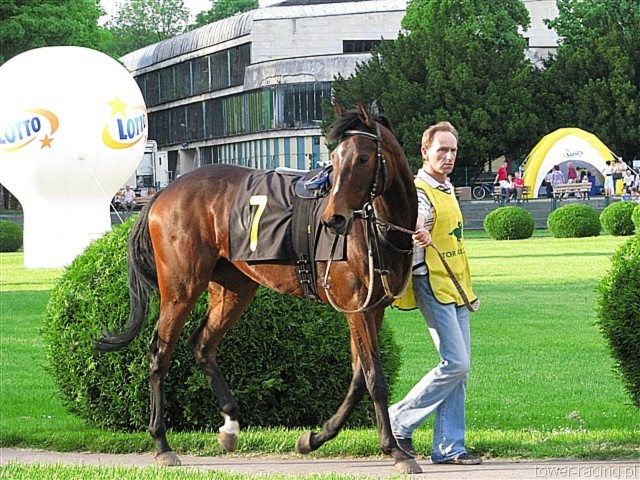 image_153.jpg