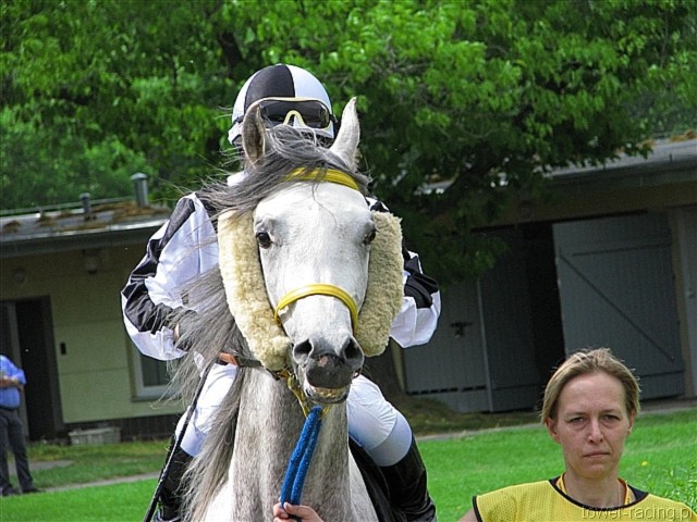 image_18.jpg
