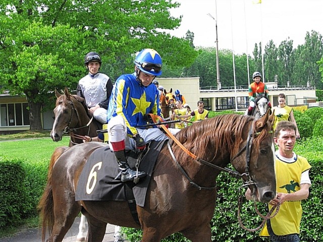 image_19.jpg
