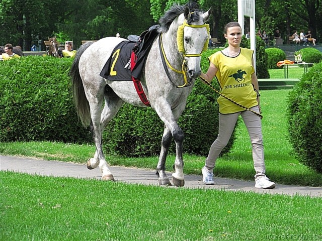image_2.jpg