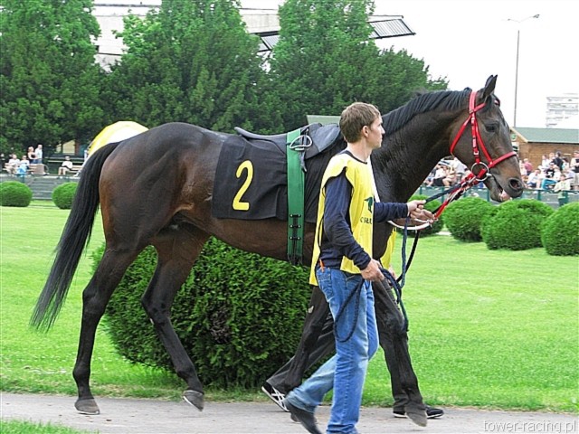 image_25.jpg