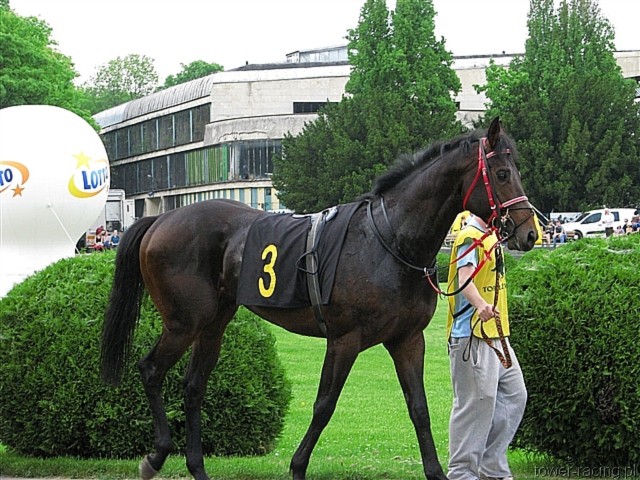 image_26.jpg