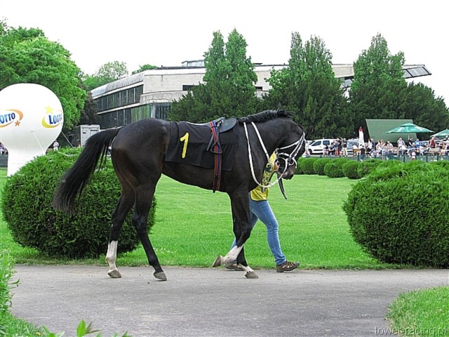 image_32.jpg