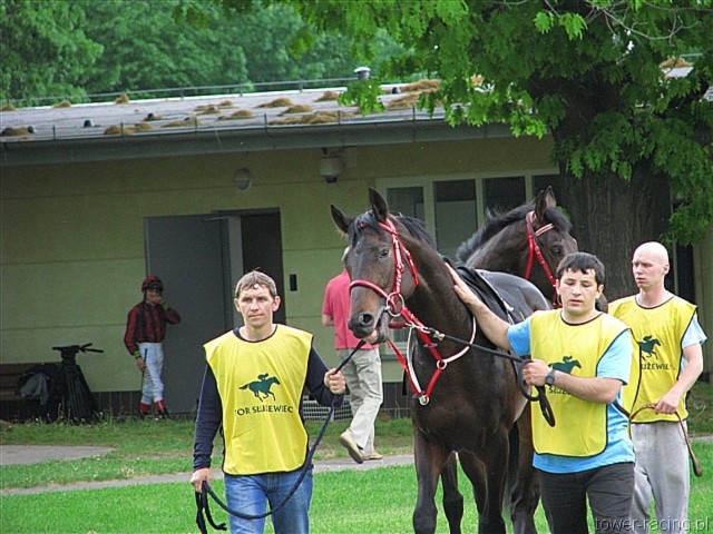 image_33.jpg