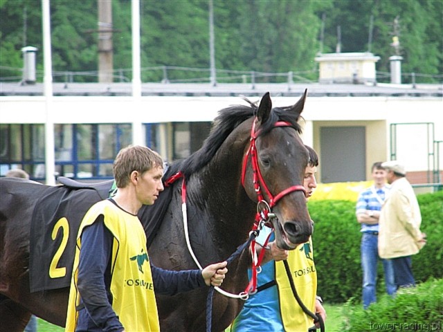 image_34.jpg