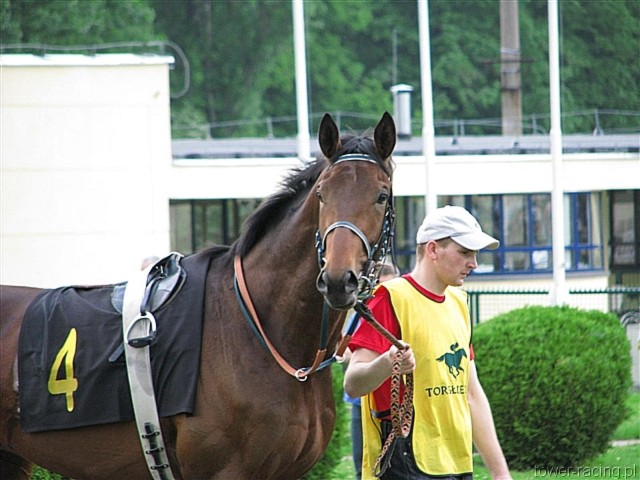 image_35.jpg