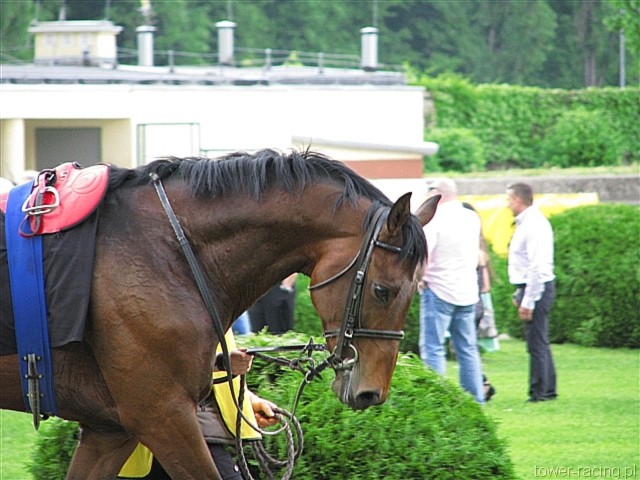 image_36.jpg