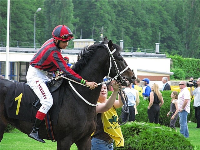image_37.jpg