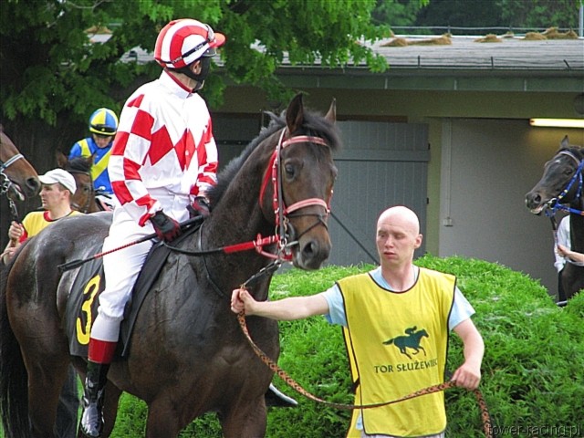 image_40.jpg