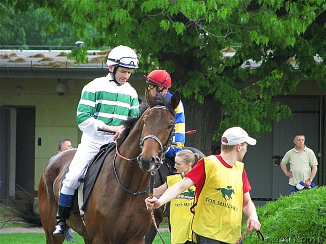 image_41.jpg