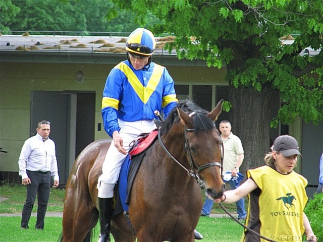 image_43.jpg
