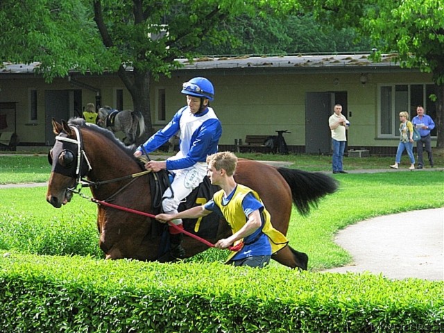 image_45.jpg