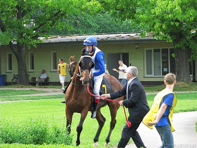 image_46.jpg