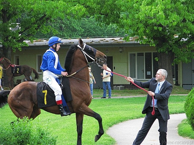 image_47.jpg