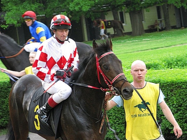 image_49.jpg