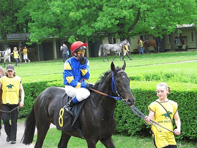 image_51.jpg