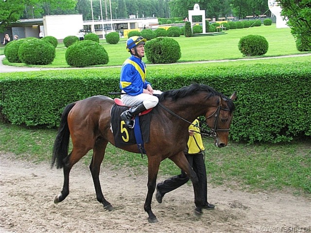 image_53.jpg