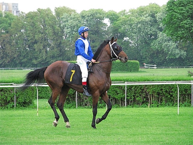 image_54.jpg