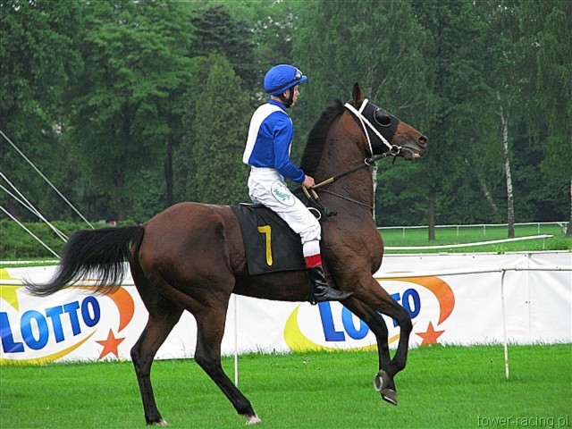 image_57.jpg