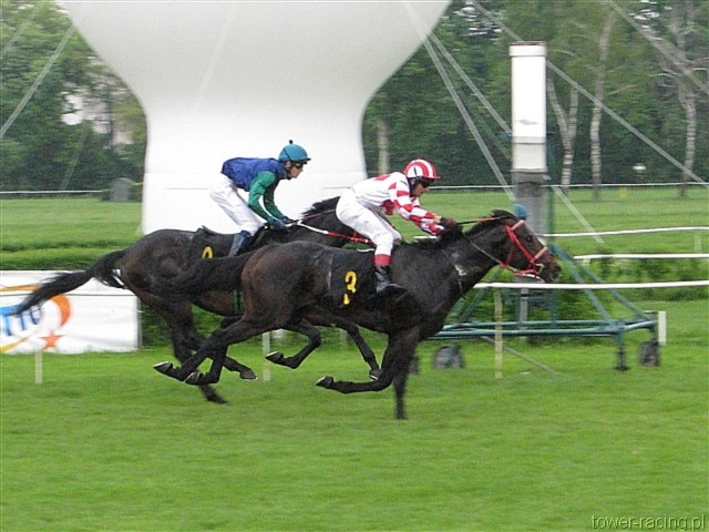 image_59.jpg