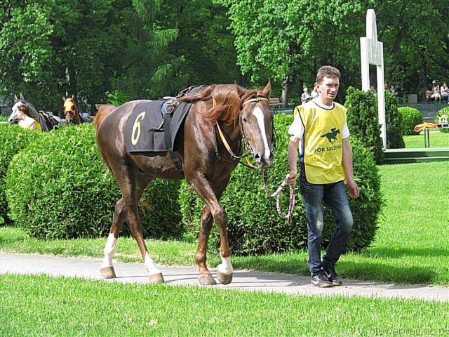 image_7.jpg