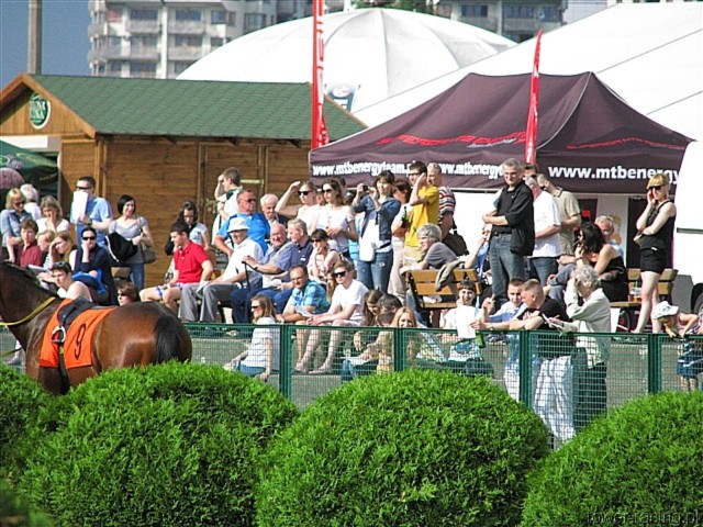 image_71.jpg