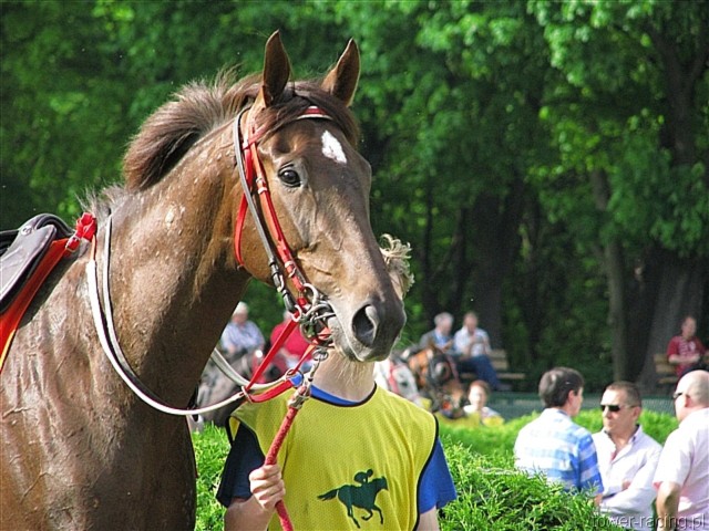 image_73.jpg