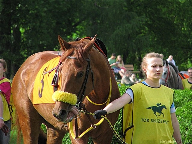 image_76.jpg