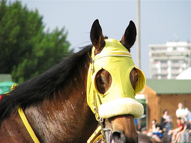 image_83.jpg