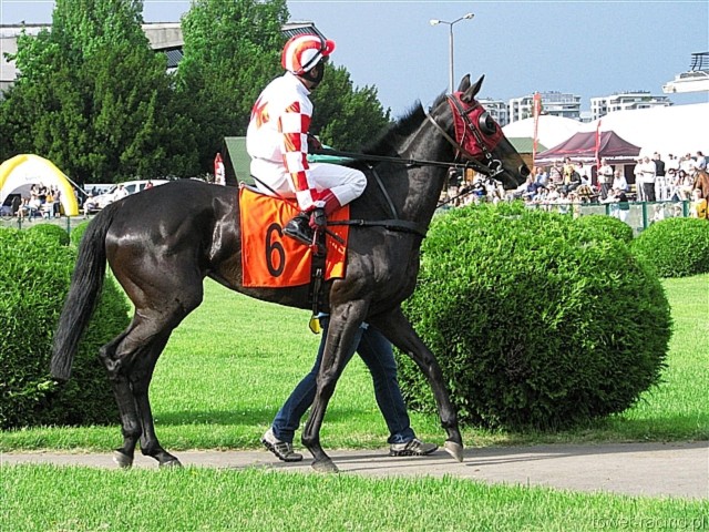 image_89.jpg